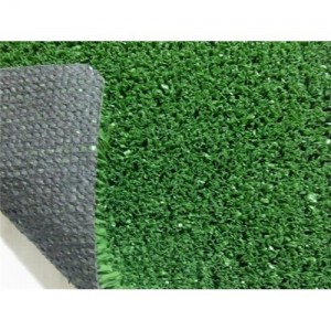Go for Natural Grass Indoor Dog Potty - Doggy and the City