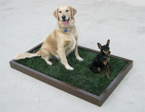 Large Real Grass Dog Potty Box