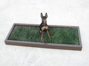 small real grass dog potty box