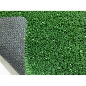 Fake Synthetic Apartment Dog Grass