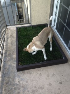 Grass Dog Potty Pad