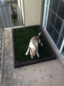 Affordable Dog Potty Grass