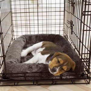 Puppy Crate Training